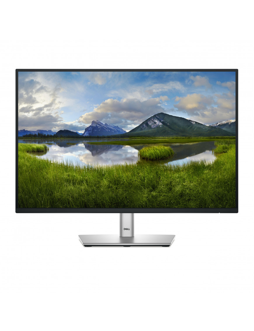 Dell P2425 61,1cm (24