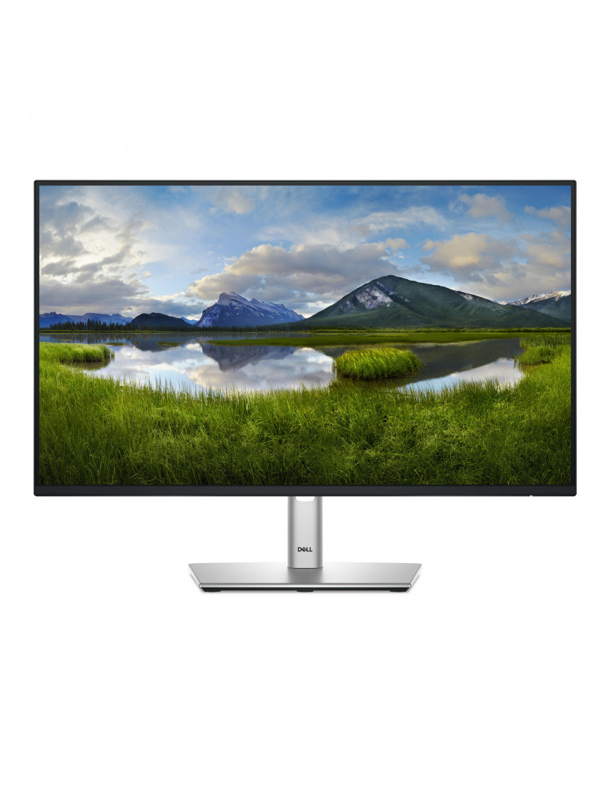 Dell P2425HE 61,1cm (24